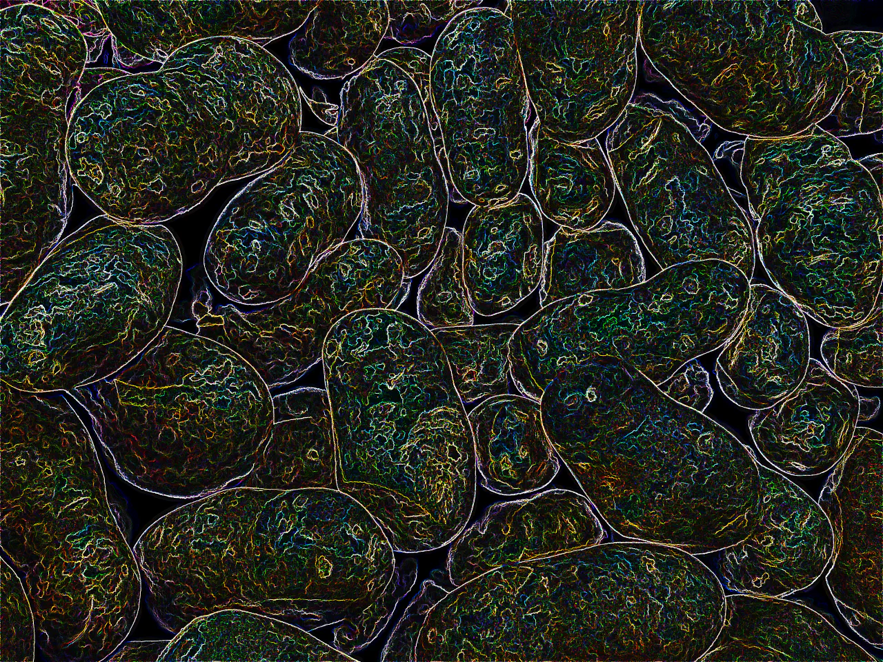 Microbial Lessons for a Living Planet