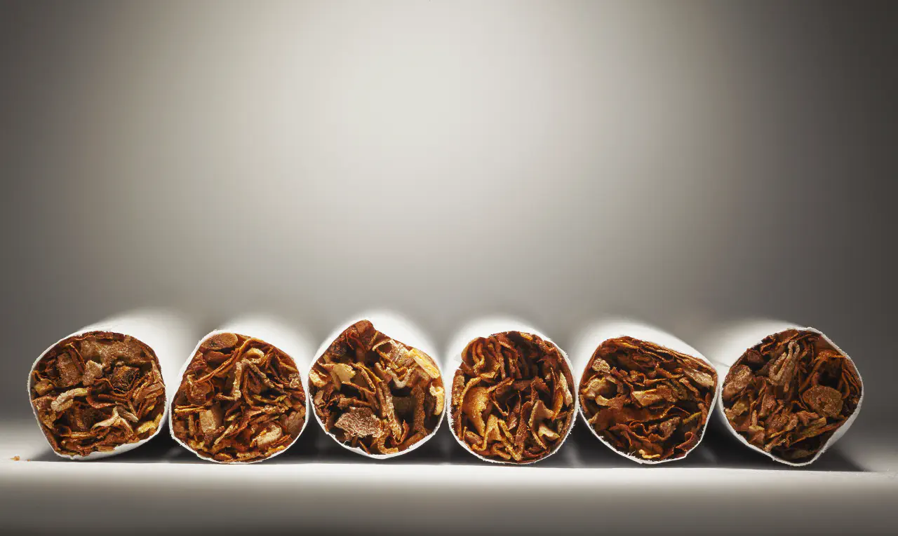 Part III: Sick by Design