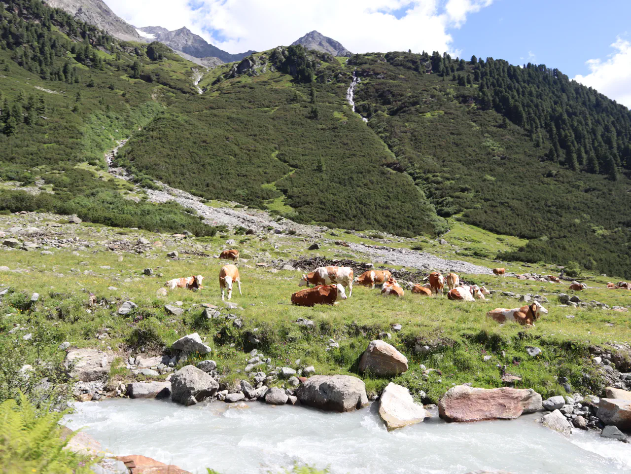 From Healthier Soil To A Fairer Fork