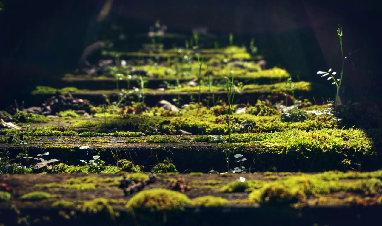 Part IV: Reclaiming Our Systems