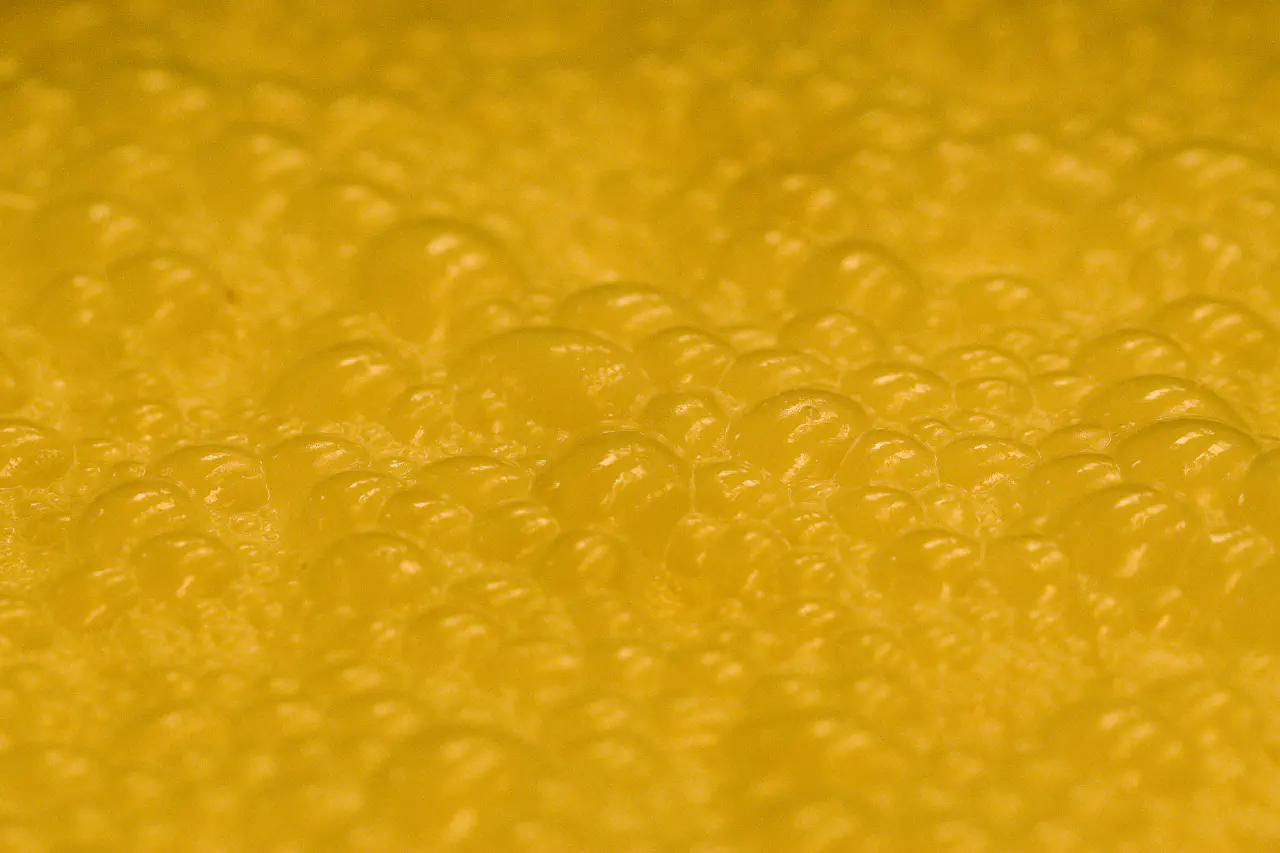 Fermentation as a Revolutionary Act